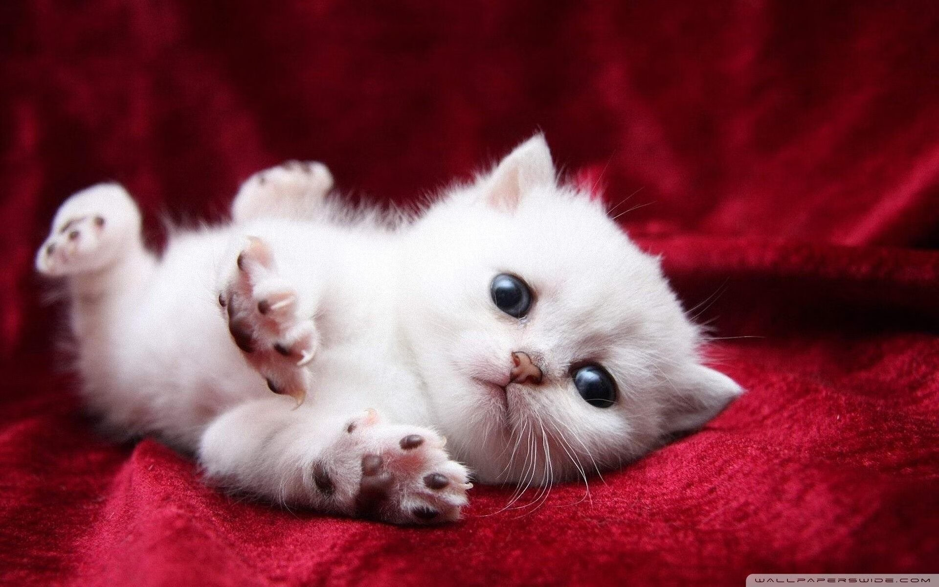 马刺斩落热火,顶薪对决之夜,无名贝恩狂轰42分横空出世