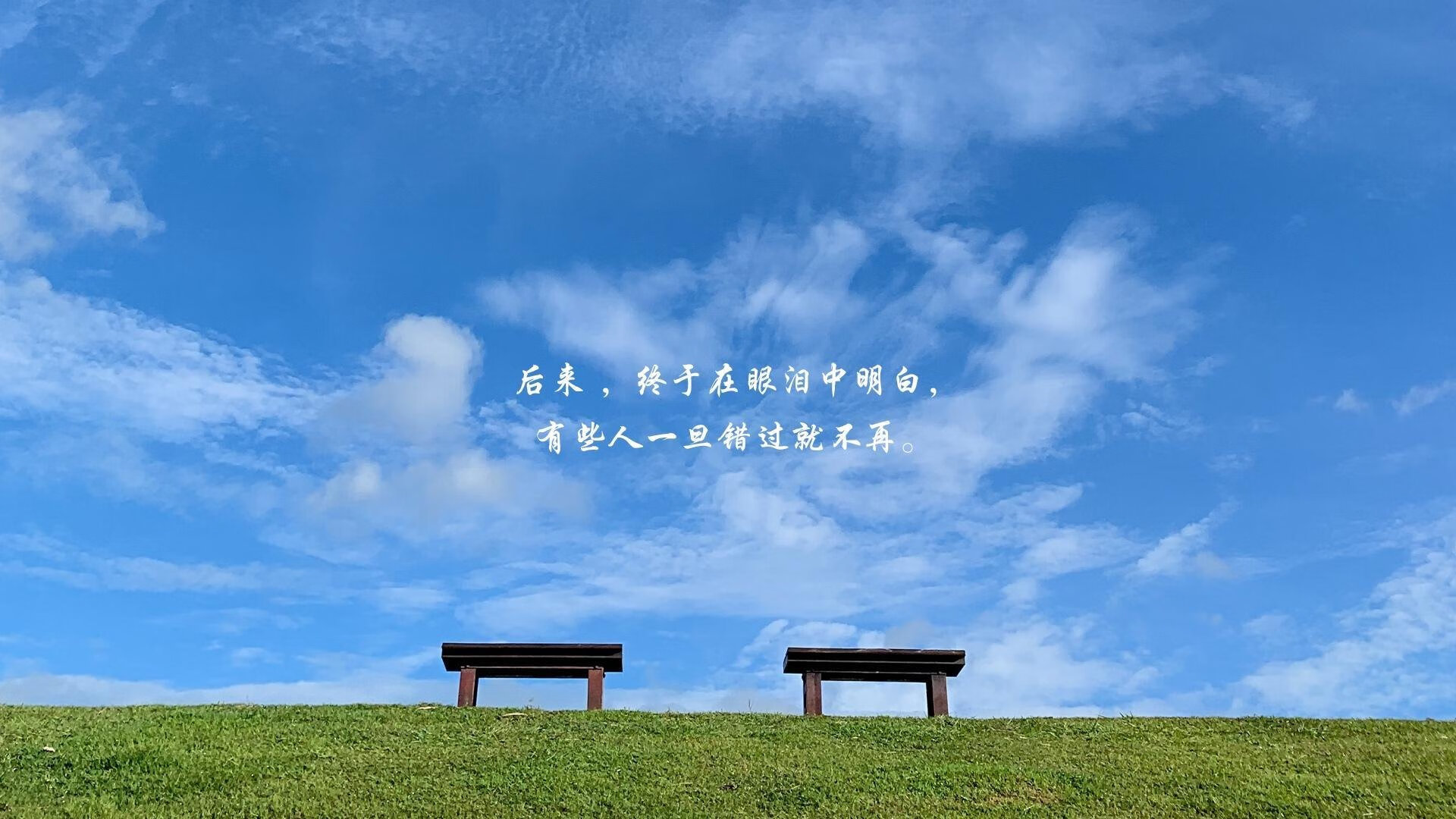 沙特征西，剑指苍穹—2026世界杯C组惊天一战，贝林厄姆与门神共铸沙特神话